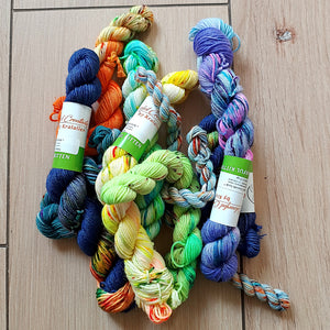 Mystery grab bags -  Colourful Smooth Sock Kittens